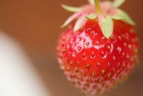 strawberry_Small