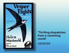 Vesper_Flights__New_and_Collecte
