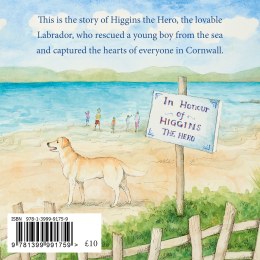 Back_Cover-Higgins_The_Hero_210m